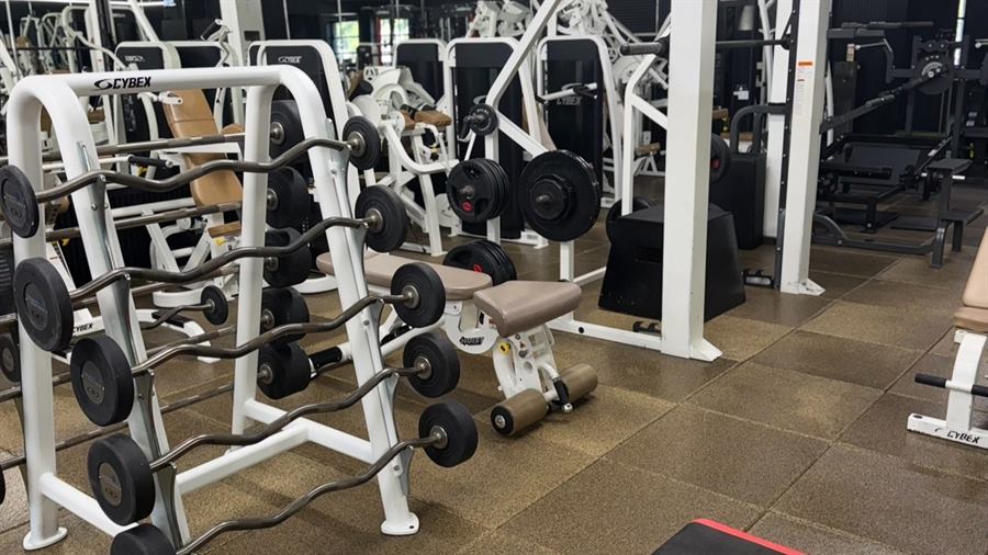 Rack of fixed-weight barbells and curl bars